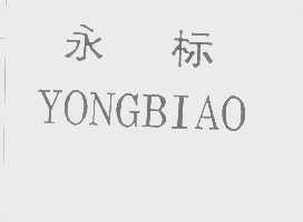 永标