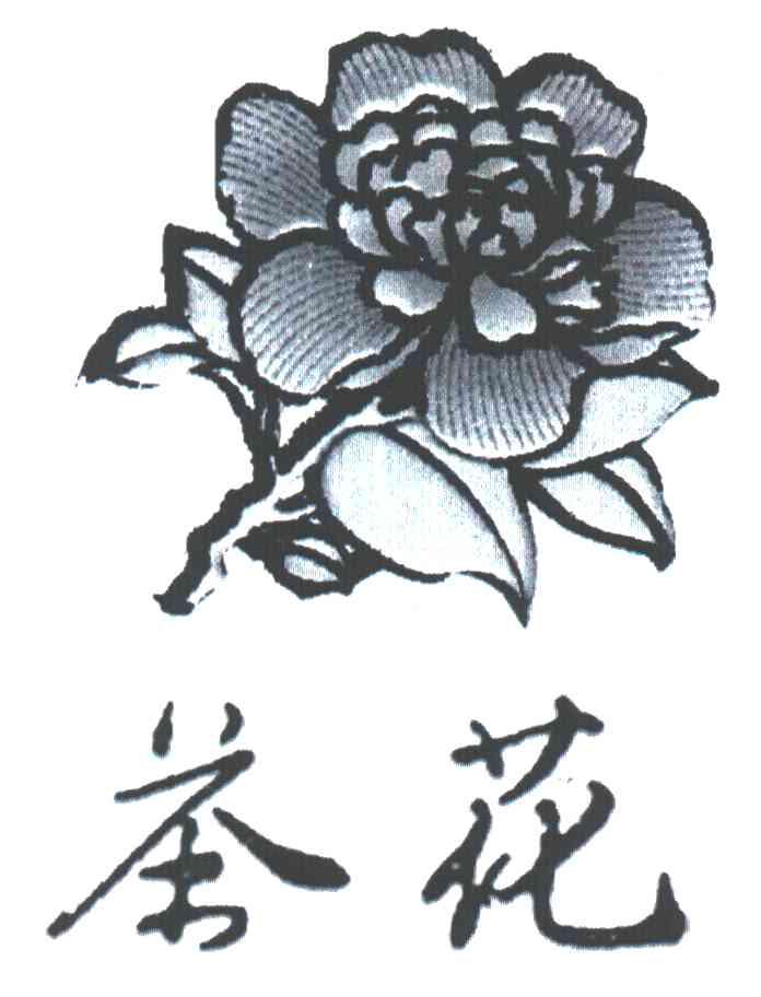 茶花