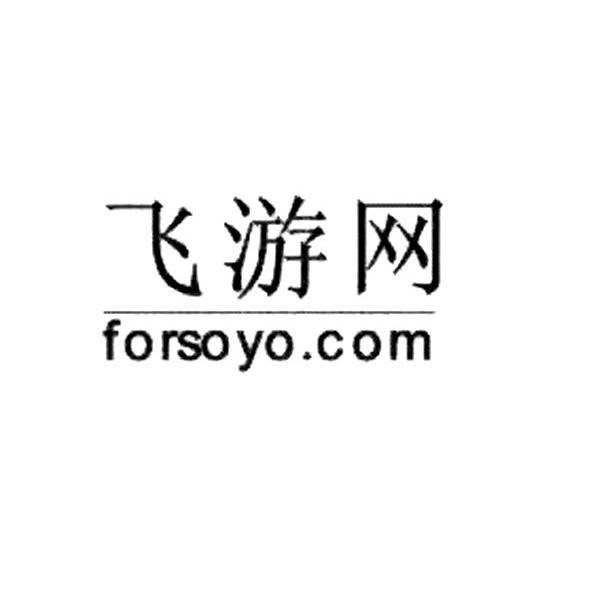 飞游网 FORSOYO.COM