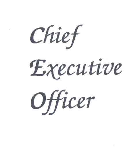 CHIEF EXECUTIVE OFFICER