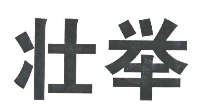 壮举