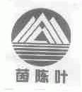 茵陈叶