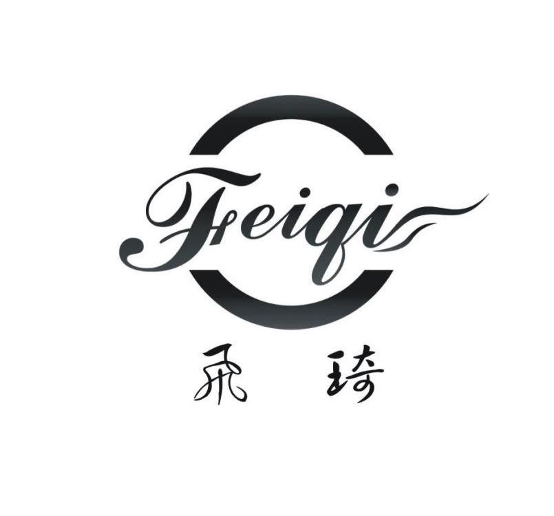 飞琦