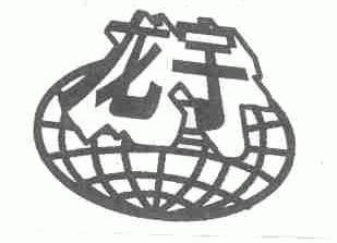 龙宇