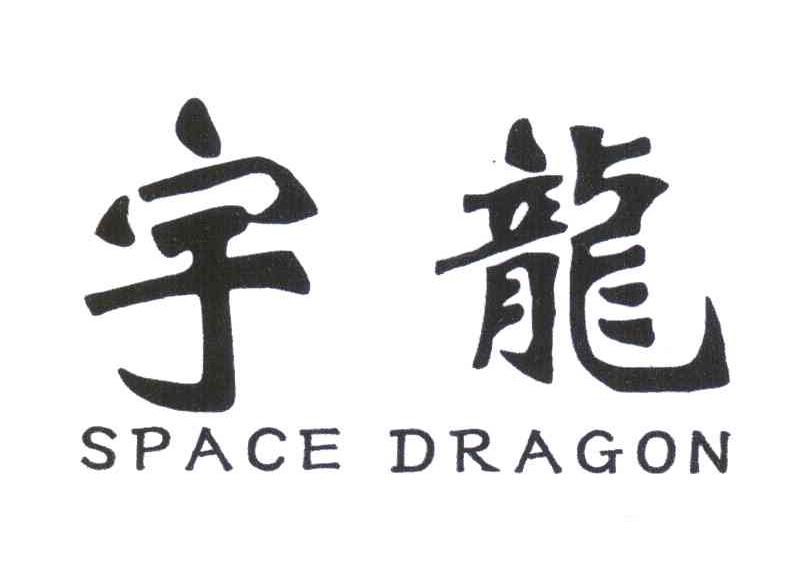 宇龙;SPACE DRAGON