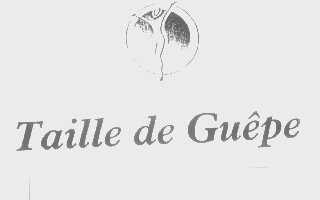 TAILLE DE GUEPE