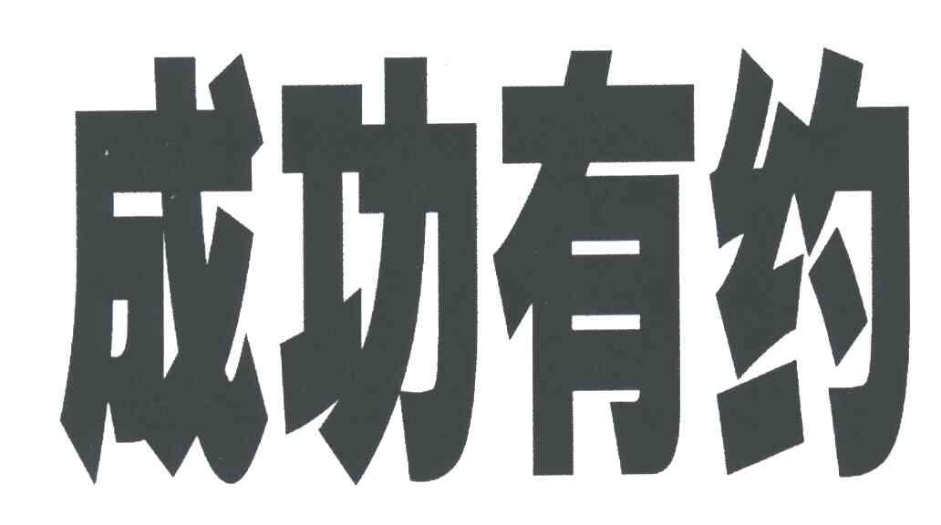 成功有约