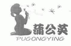 蒲公英