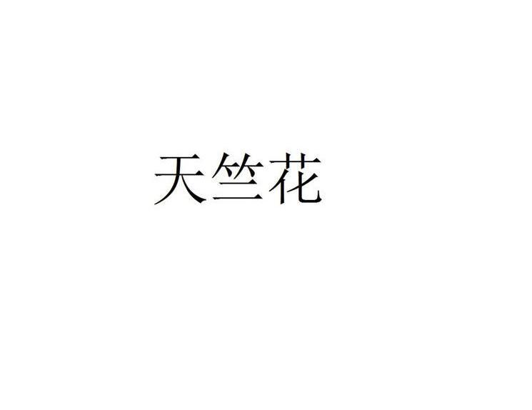 天竺花