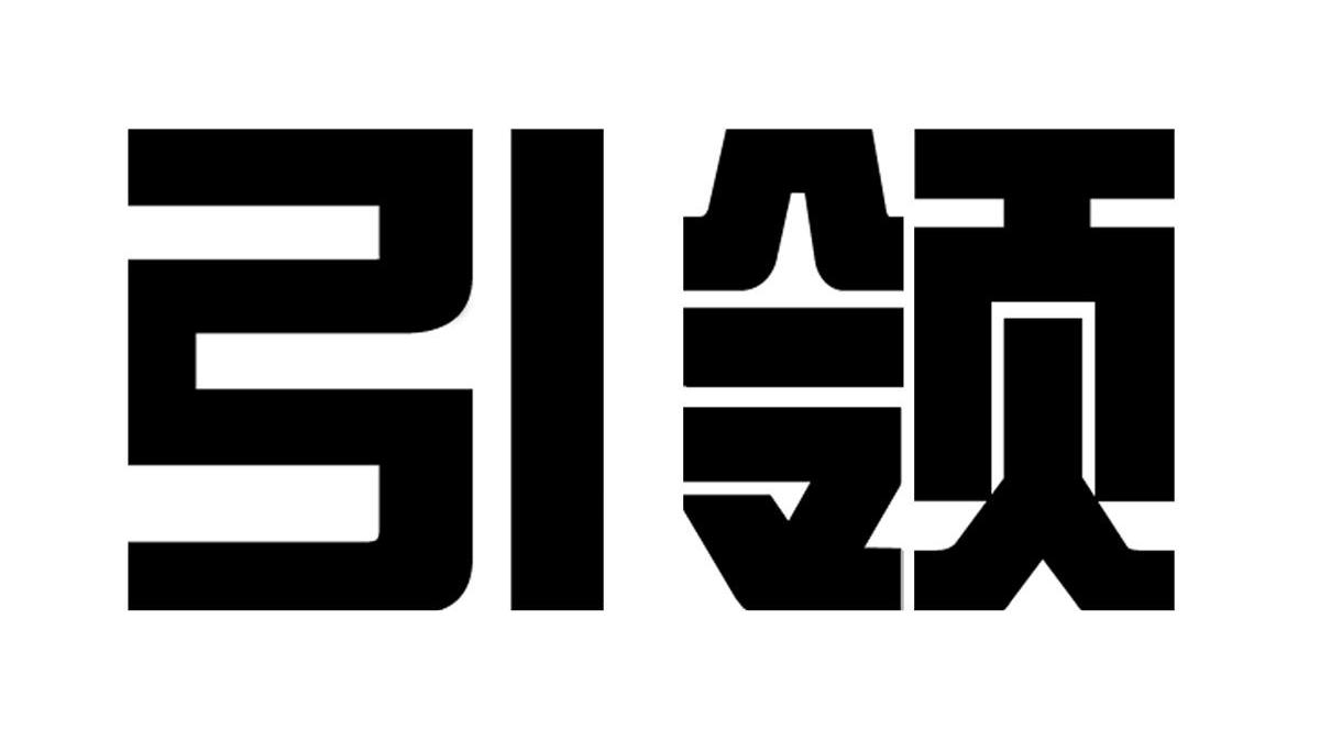 引领