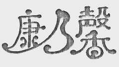 康乃馨