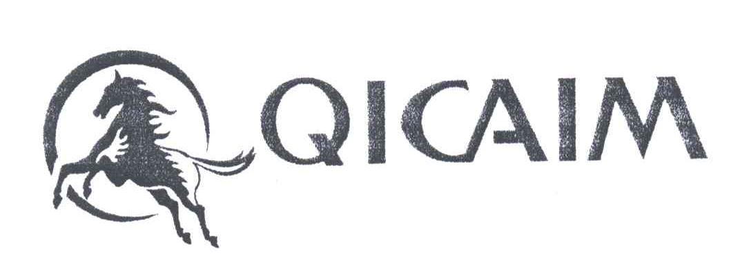 QICAIM及图