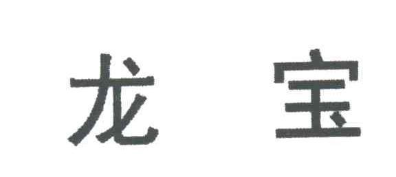 龙宝