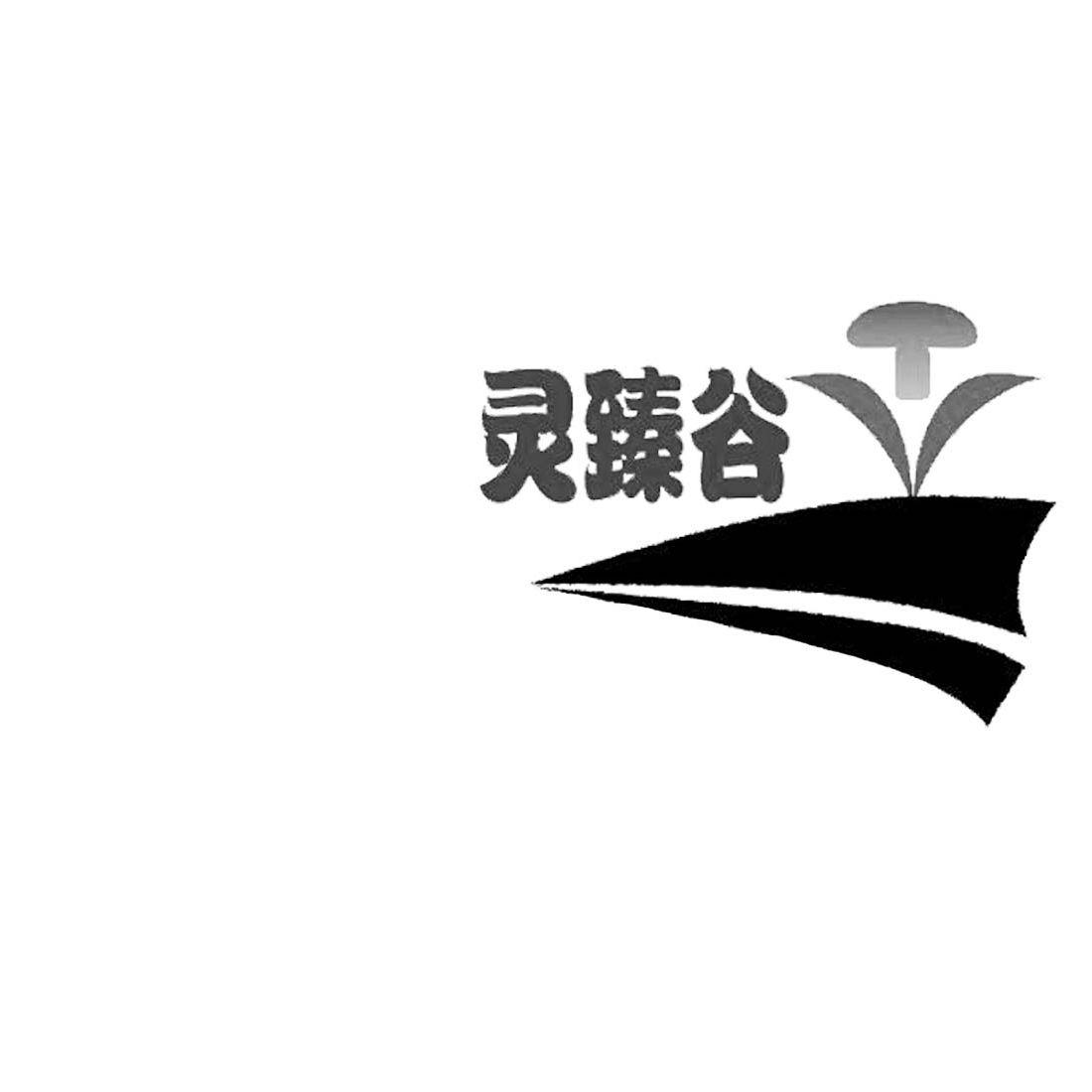 灵臻谷