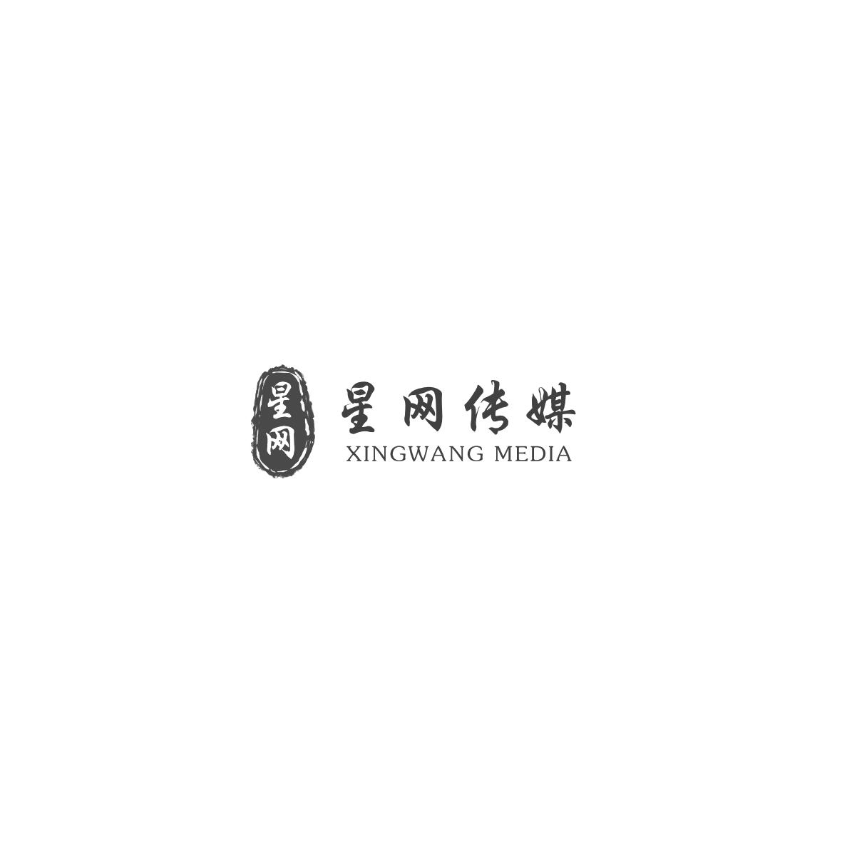 星网 星网传媒 XINGWANG MEDIA