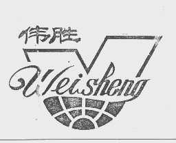 伟胜