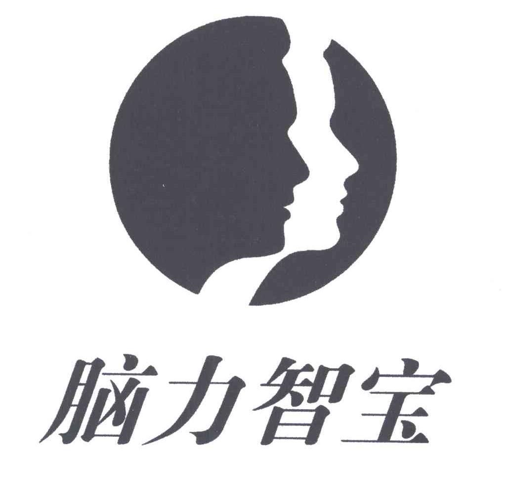 脑力智宝