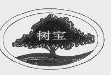 树宝