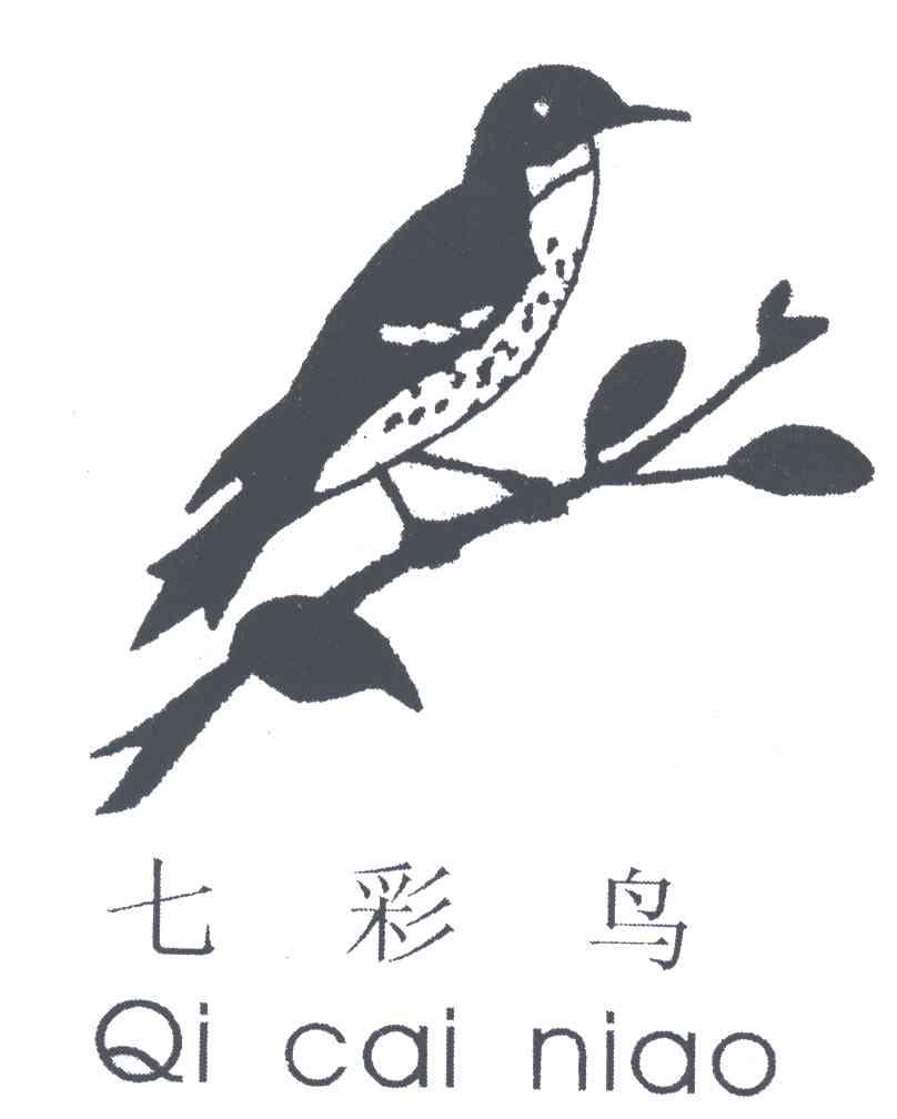七彩鸟
