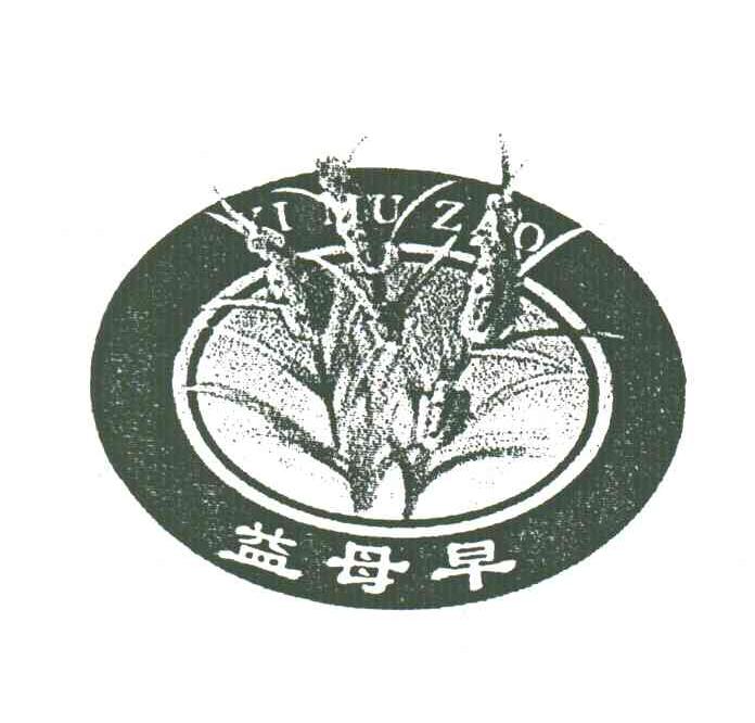 益母早