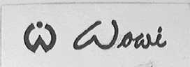 WOWI