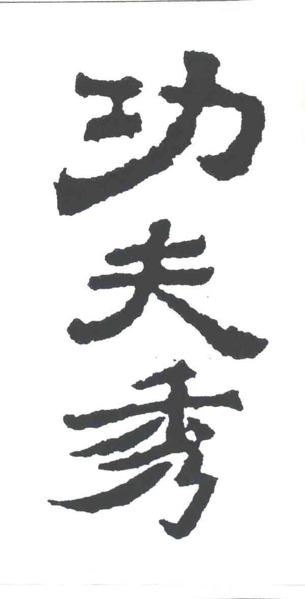 功夫秀