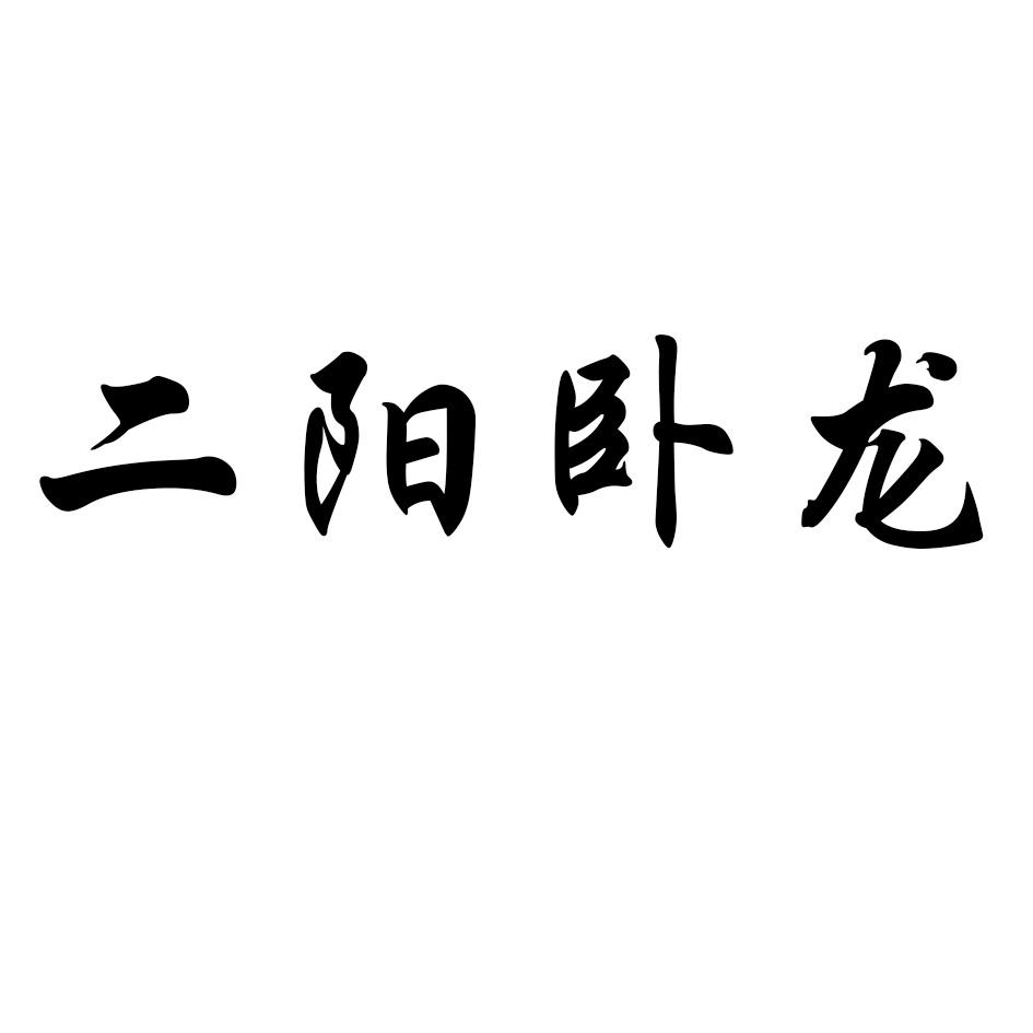 二阳卧龙