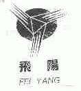 飞阳