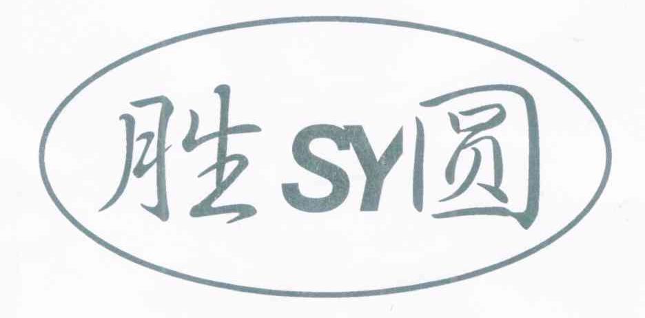 胜圆 SY