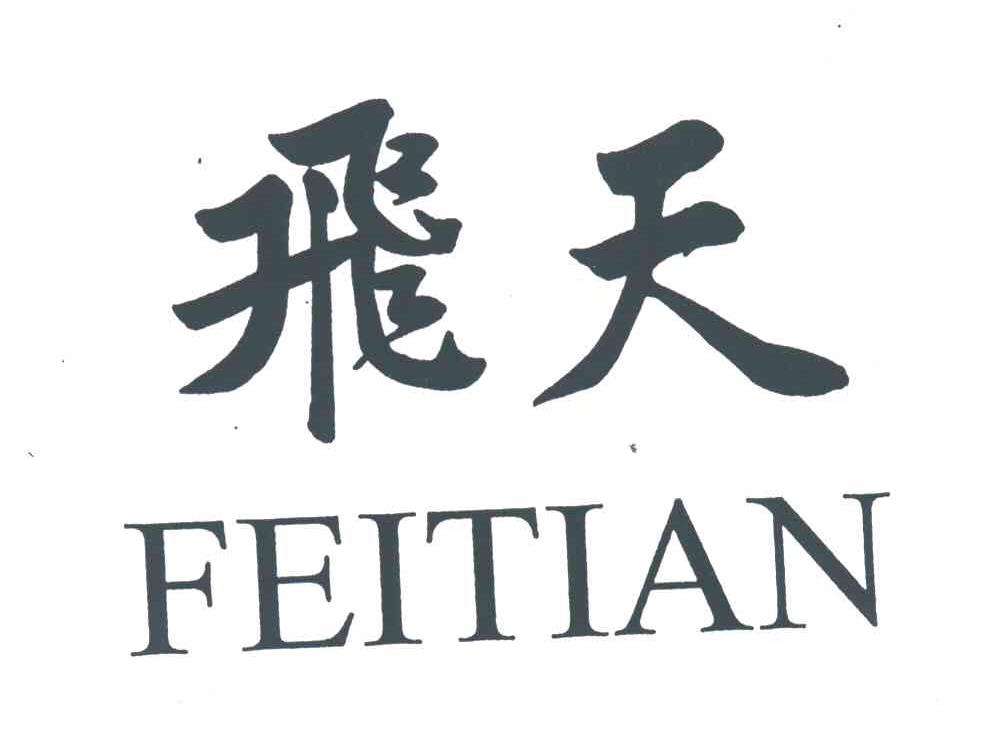 飞天;FEI TIAN