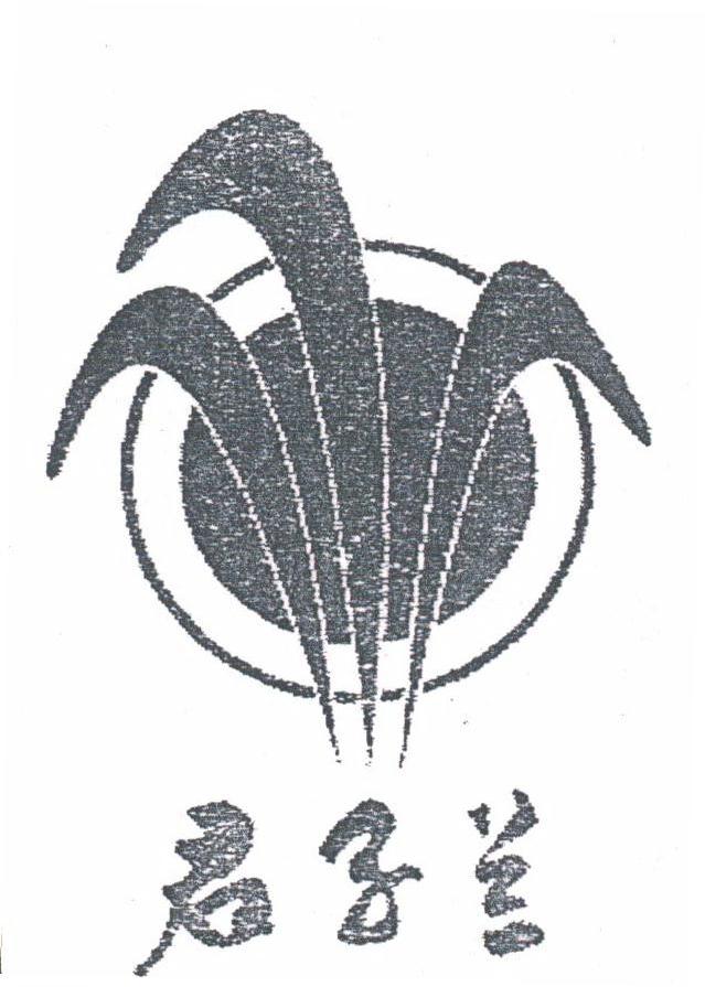 君子兰