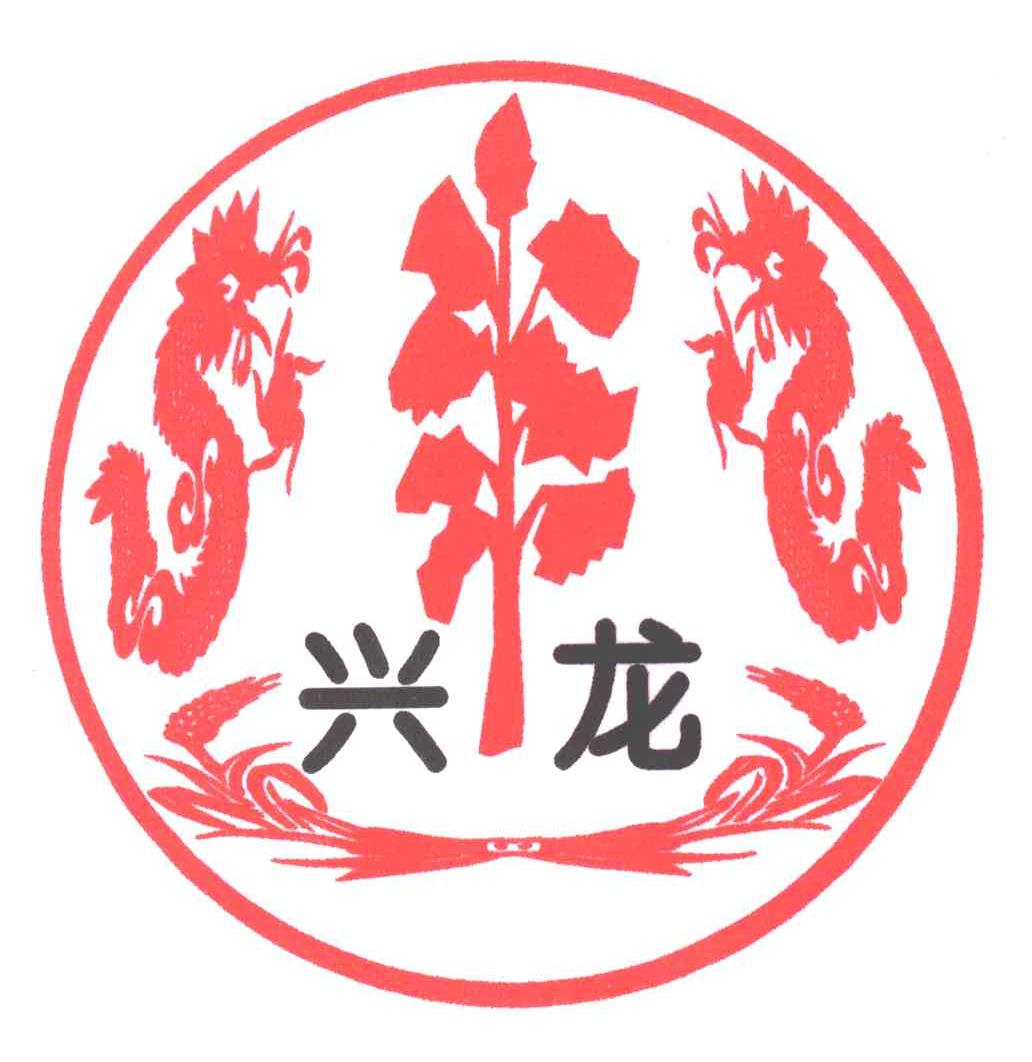 兴龙