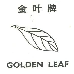 金叶    GDLDEN. LEAF