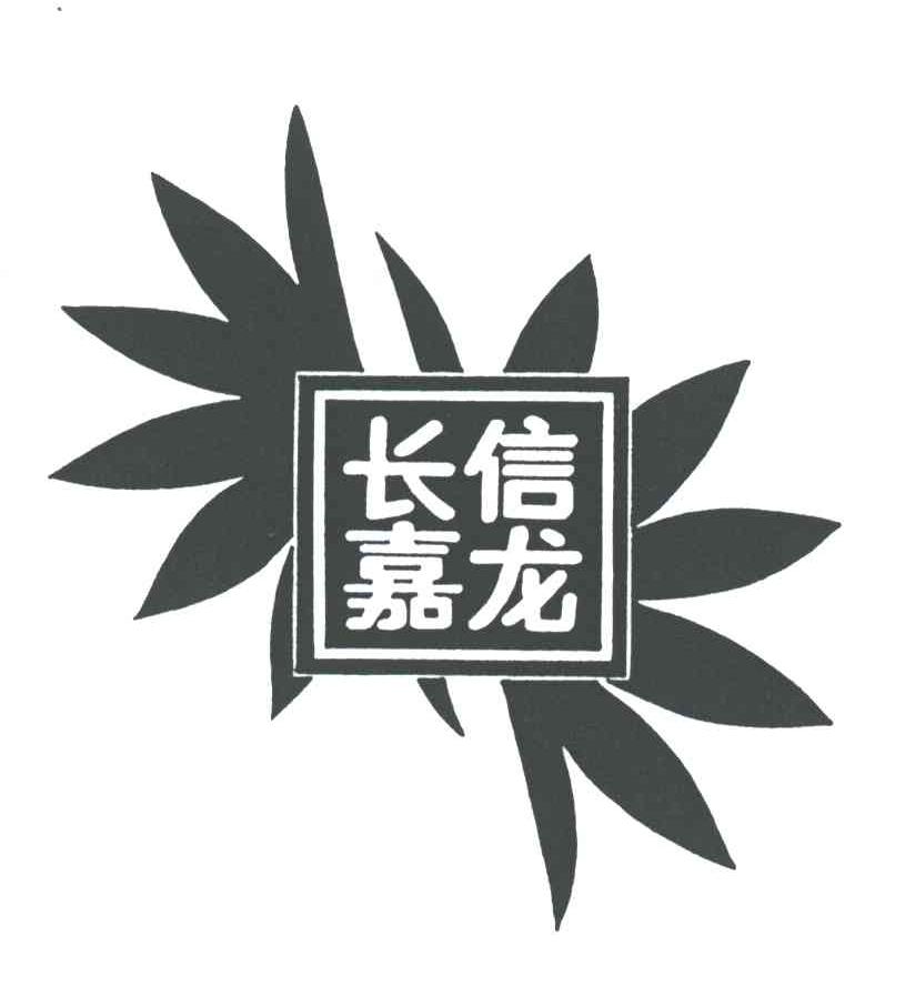 长信嘉龙