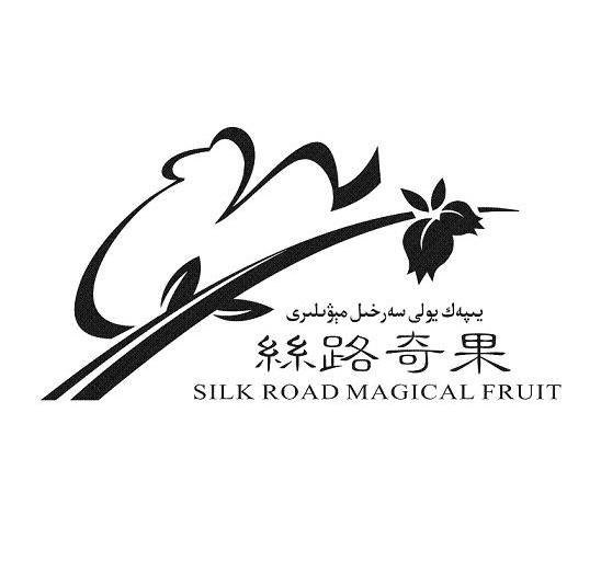 丝路奇果 SILK ROAD MAGICAL FRUIT