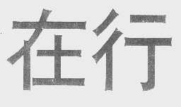在行