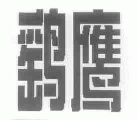 鹞鹰