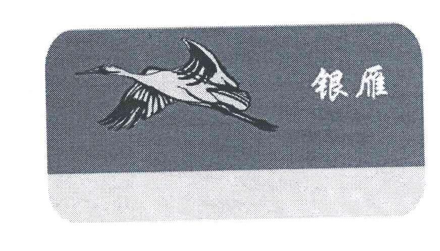银雁