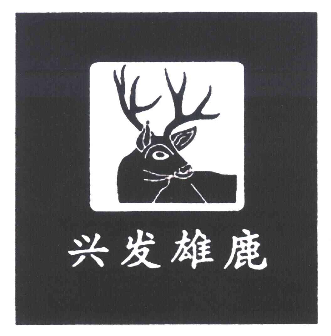 兴发雄鹿