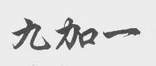 九加一