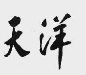 天洋