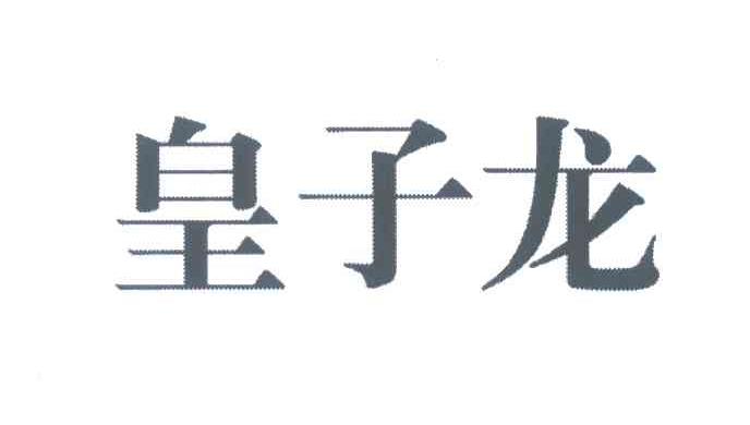 皇子龙