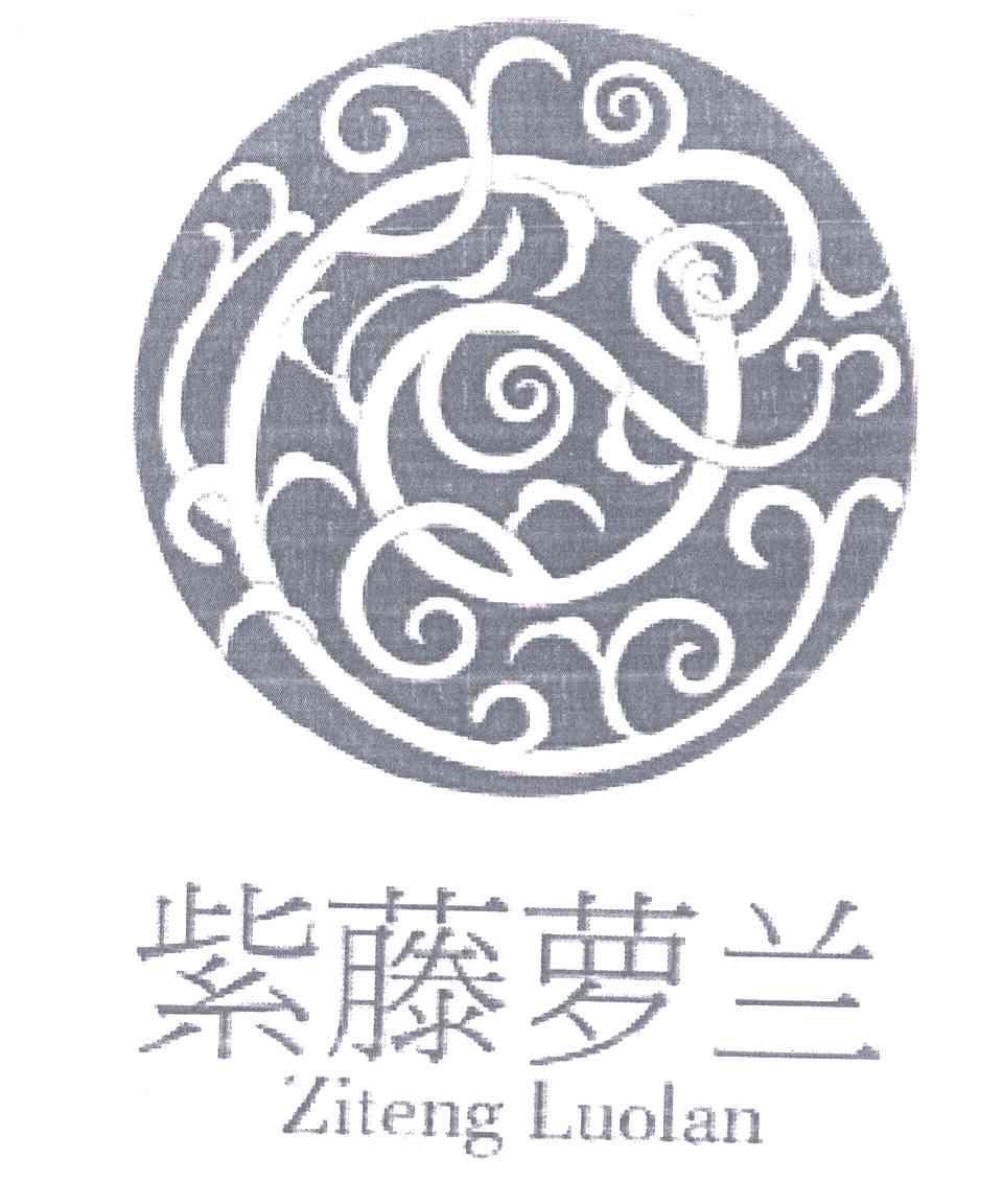 紫藤萝兰