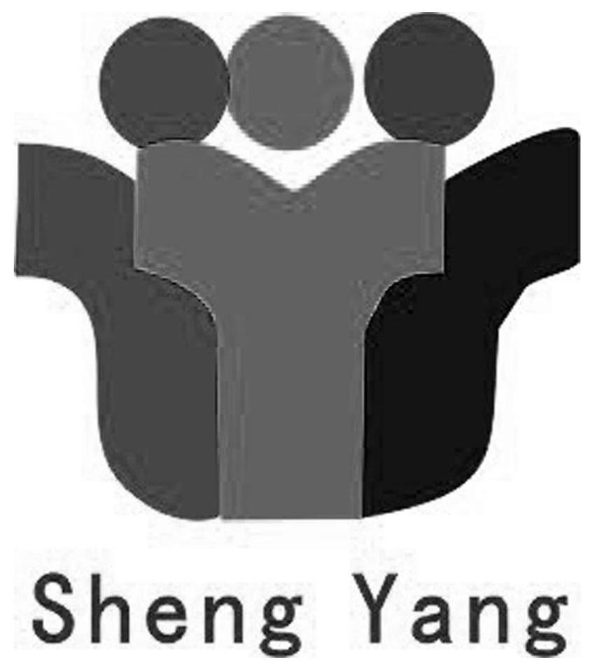 SHENG YANG
