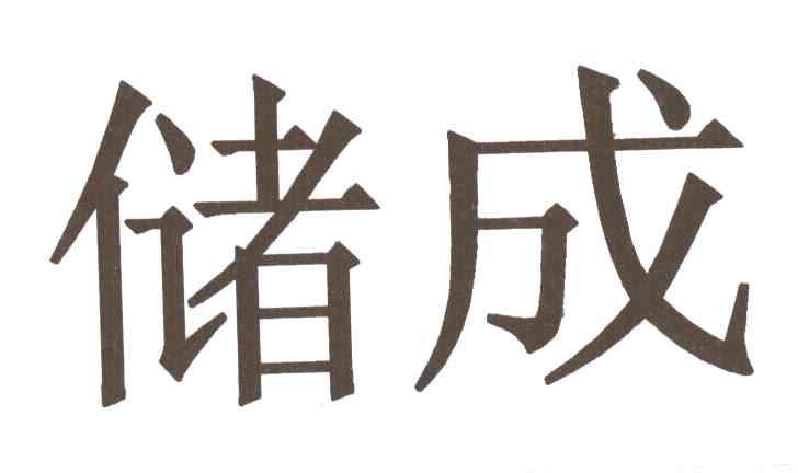 储成