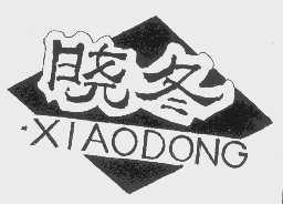 晓冬