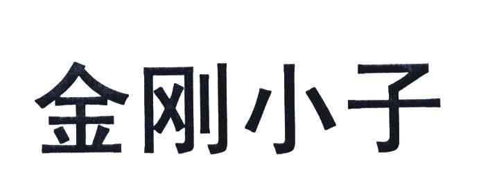 金刚小子