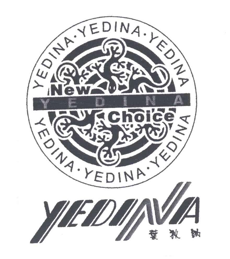 叶狄纳;NEW CHOICE