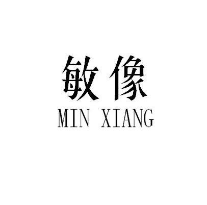 敏像