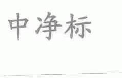 中净标